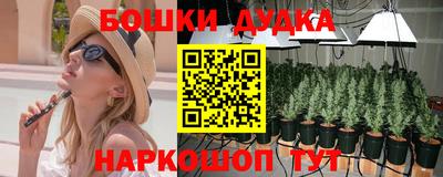 сатива Пенза
