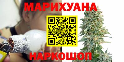 сатива Пенза